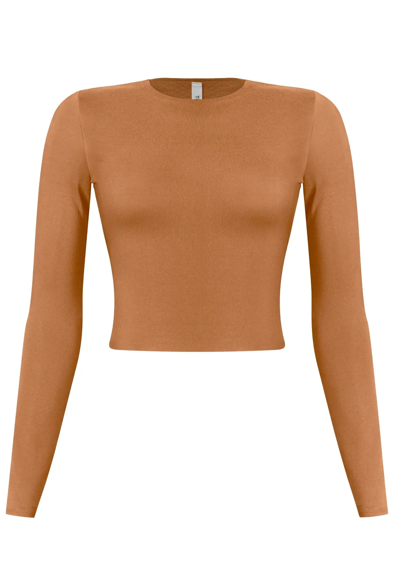 Arianna Long Sleeve Solid Basic Crop Top