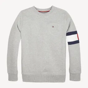 Boys 0-2 Flag Sleeve Sweatshirt | Hoodies | Tommy Hilfiger