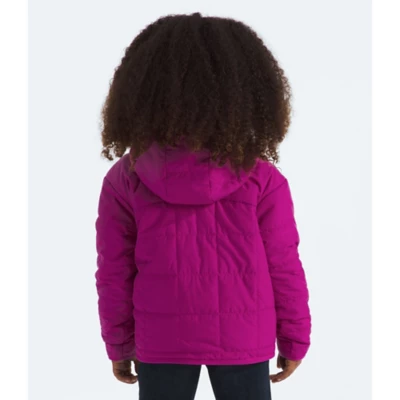 Toddler Girls' The North Face Reversible Shasta Full Zip Detachable Hood Shell Jacket